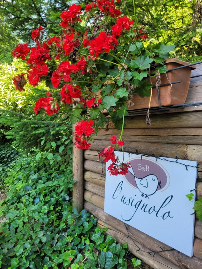 B&B L'Usignolo Ascoli Piceno Exterior photo